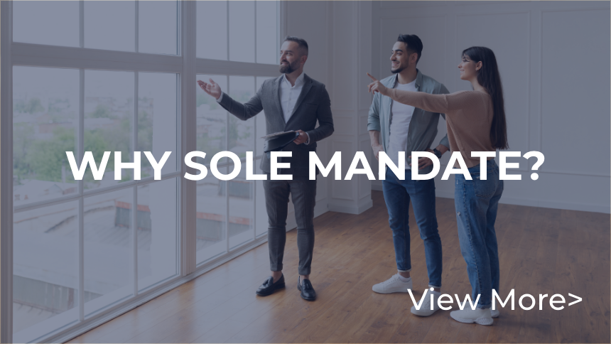 why sole mandate,link button and text